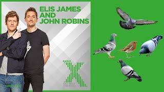 A Robins Amongst The Pigeons The Complete Collection - Elis James and John Robins Radio X