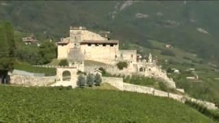 VALLAGARINA CASTEL NOARNA DALLA VIGNA ALLA CANTINA IL VIAGGIO DEL VINO NATURALE