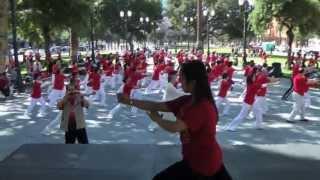 Kung Fu Tai Chi Day group Tai Chi 24 Demonstration