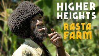 Hike to Higher Heights Rasta Style Slow Farming in the Mountains of JAMAICA