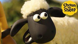 Shaun the Sheep  What could go wrong? - Cartoons for Kids  Full Episodes Compilation 1 hour