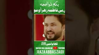 #shorts  Ali Walon Ko Ali Mubarak -13 Rajab New Manqabat 2024  Syed Raza Abbas Zaidi