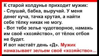 Про чудотворное зелье от старой колдуньи... Анекдоты Юмор Позитив