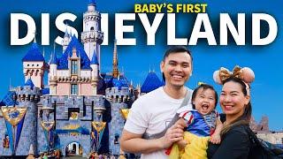 Our First Visit to Disneyland as a Family How Different is it?