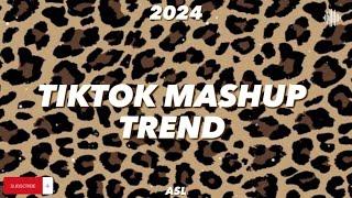 Tiktok mashup trend 2024