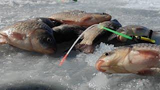 Крупный КАРАСЬ гнет КИВКИ ТОПИТ УДОЧКИ Зимняя рыбалка на мормышку весной