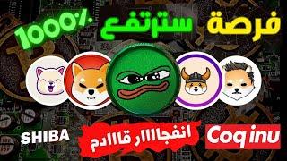 موعد صعود عملات الميم كوين لها مستقبل كبير ؟ 2000% قريبا الانطلاق  _DOGE_PEPE_SHIBA_FLOKI_