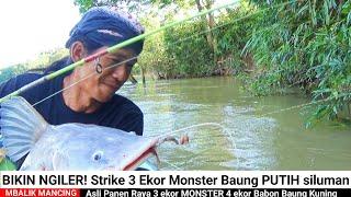 Bikin Ngiler Hasil mancing baung geso kali ini di luar ekspektasi