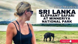 Thrilling Adventure Elephant Safari at Minneriya National Park