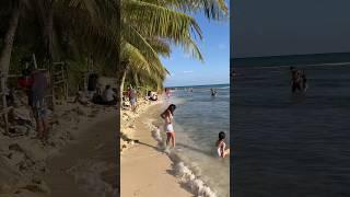 Playa del Carmen beach ️️ #beach #beachlife #beachvibes #mexico #dreamlife #sun #palmtrees