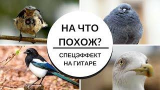 Как изобразить Птицу на ГИТАРЕ. Спецэффекты. УГАДАЙ на что похоже?