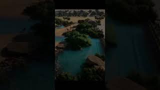 Planet Zoo Beautiful Large Multi-Species Habitat #shorts