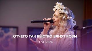 VАСИЛИСА  Отчего так быстро вянут розы live 2024