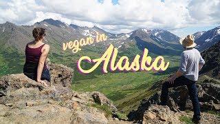Hiking Biking and a Vegan Brownie in Alaska