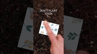  Never Plant Seed Paper