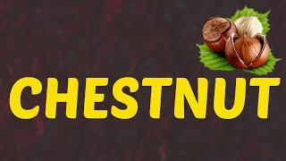 What Does CHESTNUT Means  Meanings And Definitions With Example in ENGLISH