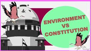 ENVIRONMENT VS CONSTITUTION