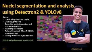 336 - Nuclei segmentation and analysis using Detectron2 & YOLOv8​
