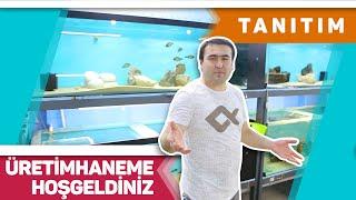 ÇOK EĞLENCELİ ÜRETİMHANE TANITIMI Akvaryum Balıkları Üretimhanesi