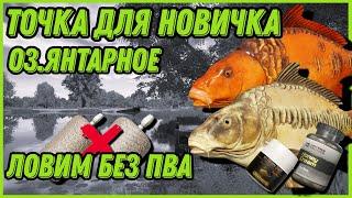 НАЧАЛЬНАЯ ТОЧКА НОВИЧКА ДЛЯ ЛОВЛИ КАРПА БЕЗ ПВА  АРХИВ От 11.05.24  Янтарное  Русская Рыбалка 4