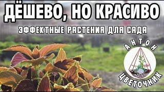 Как украсить сад дёшево но эффектно. Лучше и удобнее чем простая клумба