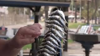 Espetos de sardinas en Málaga y la Costa del Sol