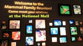 Free Things To Do at the National Mall I Washington DC Trip 2018 05