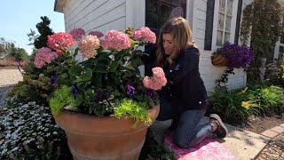 A Little Chicken Coop Flower Bed Revamp & Harvesting Red Pontiac Potatoes   Garden Answer