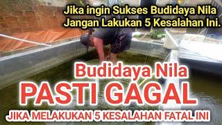 5 KESALAHAN FATAL BUDIDAYA IKAN NILA-AWAS GAGAL TOTAL