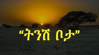 Ethiopia - Amharic poem Nebiy Mekonnen ነብይ መኮንን -- Tinish Bota ትንሽ ቦታ