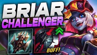 Easy To Climb Briar Jungle Build To Help You CARRY