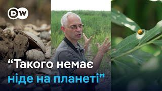 Як виглядає Каховське водосховище нині і чому екологи проти відбудови ГЕС?  DW Ukrainian