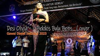 Desi Olivia ▪︎ Bekikis Bulu Betis ▪︎  cover  Gawai Dayak Sekadau 2023 ▪︎ Keyb. Mulyadi ▪︎