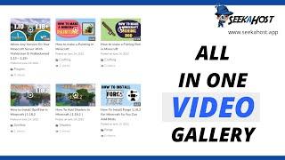 Install a Video Gallery To Your Website On WordPress  All In One Video Gallery