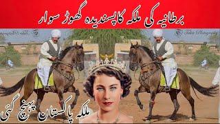 Most Famous Pakistani Horse Riders  Well Renowned all over the world  Nawab Atta horses