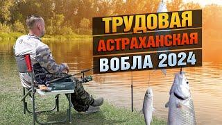 Где Вобла? Рыбалка в Астраханской области 2024