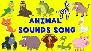 Animal Sounds Song  English nursery rhyme  Baby Song for children