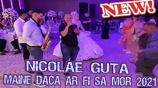 Nicolae Guta  Maine daca ar fi sa mor 2021  HORA @Nunta Maku & Frunza