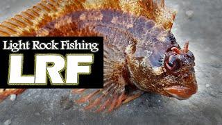 Light Rock Fishing LRF Techniques for Beginners.