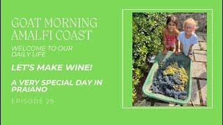 LETS MAKE WINE - A VERY SPECIAL DAY IN PRAIANO  Goat Morning Amalfi Coast Ep 29