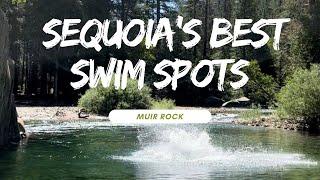 Exploring Sequoia and Kings Canyon A Family Adventure At Muir Rock Best Swim Spots Part 2