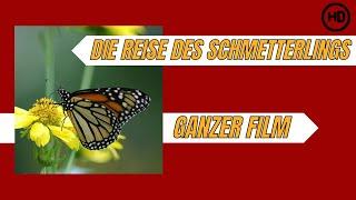 Die Reise des Schmetterlings - Das Geheimnis des Monarchfalters  HD  Dokumentarfilm auf Deutsch