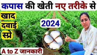 नई तकनीक से कपास का बंपर उत्पादन  kapas ki kheti  Kapas ki Top Variety 2024  Cotton Farming Guide