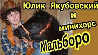 Дрессированная лошадка  Мальборо.Премьера.2007 г.Little horse Marlboro . Premier act .1 year olds .