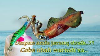 Best squid jig colour _ warnah umpan cumi paling jitu pagi siang malam