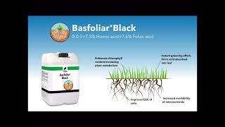 Compo Expert Basfoliar Black