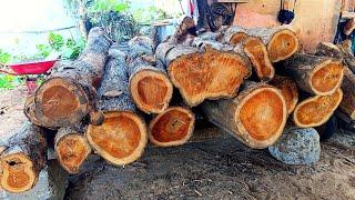 Mass production of teak wood planks and beams #38