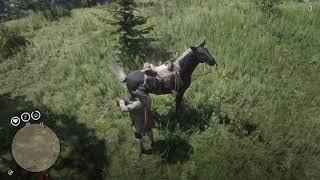 Red Dead Redemption 2 Animal De-Spawn post beta example 1