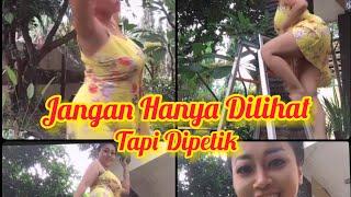 Jangan cuma dilihat tapi di Petik Buah Mangganya