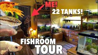 Full Fishroom Tour Planted Aquariums and Nano Fish